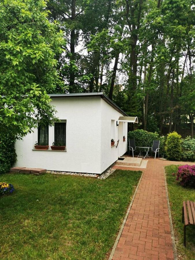 Ferienbungalow Im Igelbau Baabe Eksteriør billede